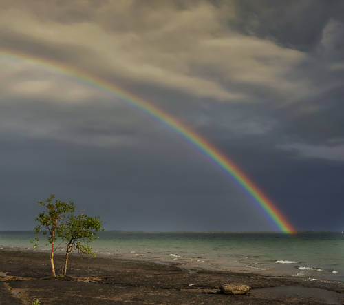 Rainbow over Lake Ontario